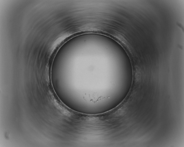 X0000103911030200809191257