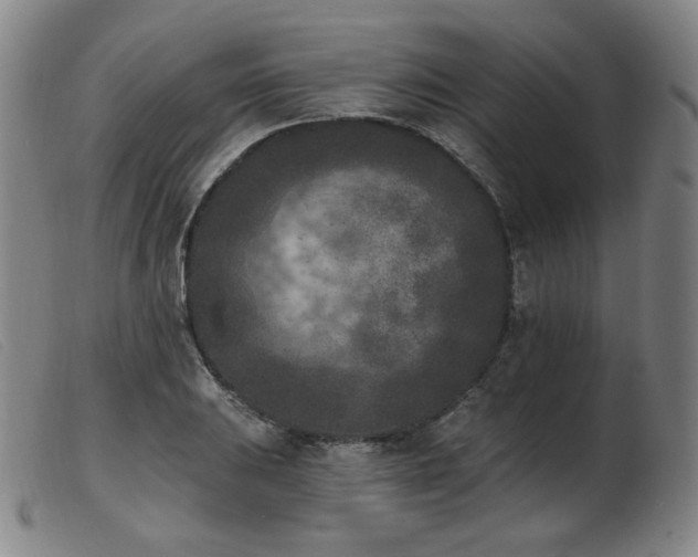 X0000103911031200809191257