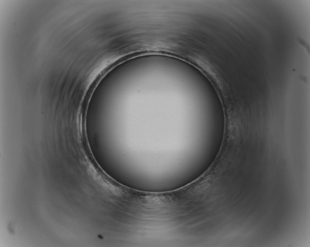 X0000103911032200809191257