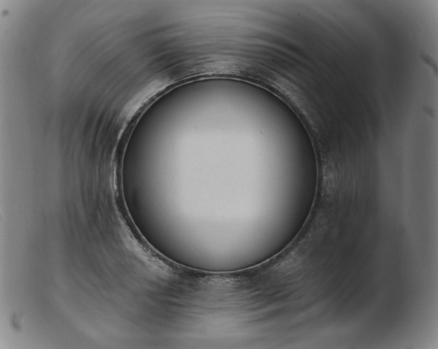 X0000103911034200809191257