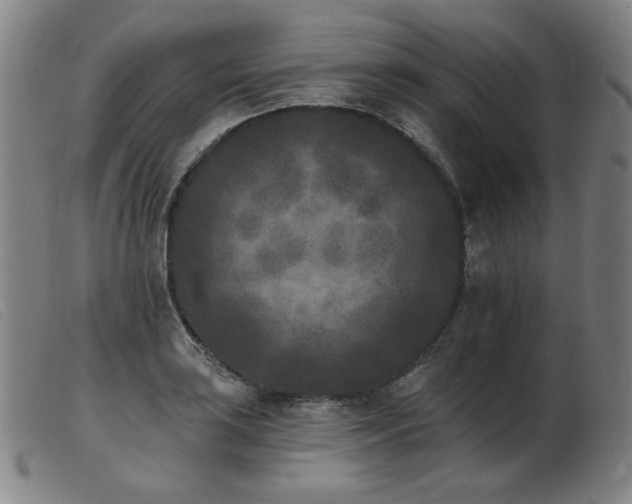 X0000103911035200809191257
