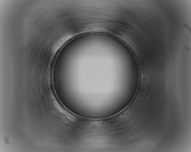 X0000103911038200809191257