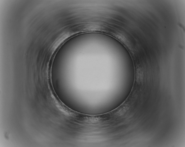 X0000103911039200809191257