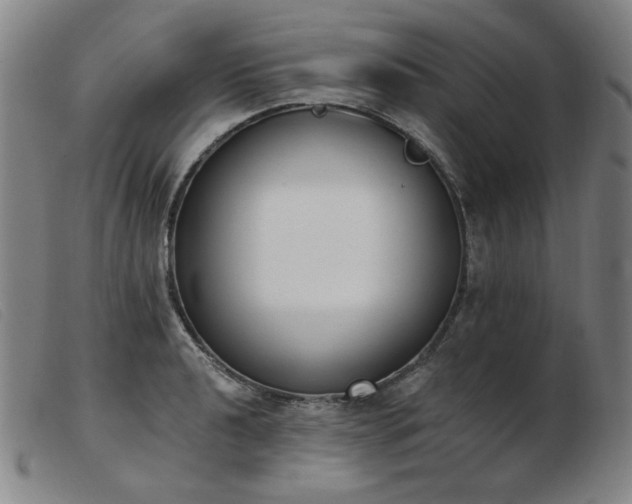 X0000103911040200809191257