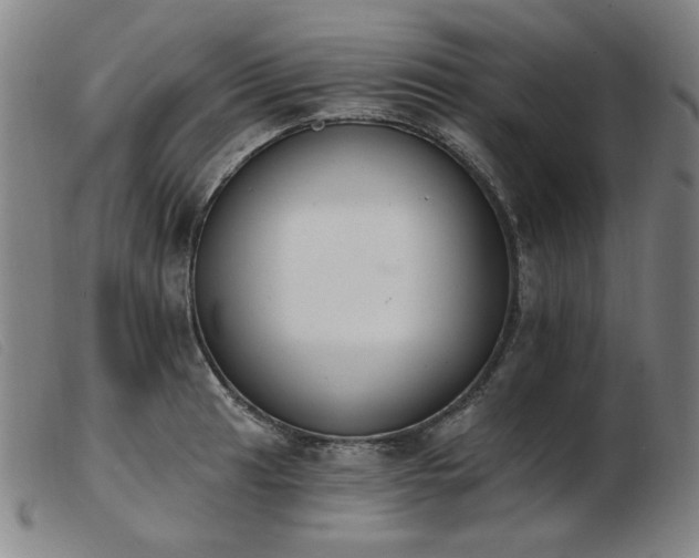 X0000103911041200809191257