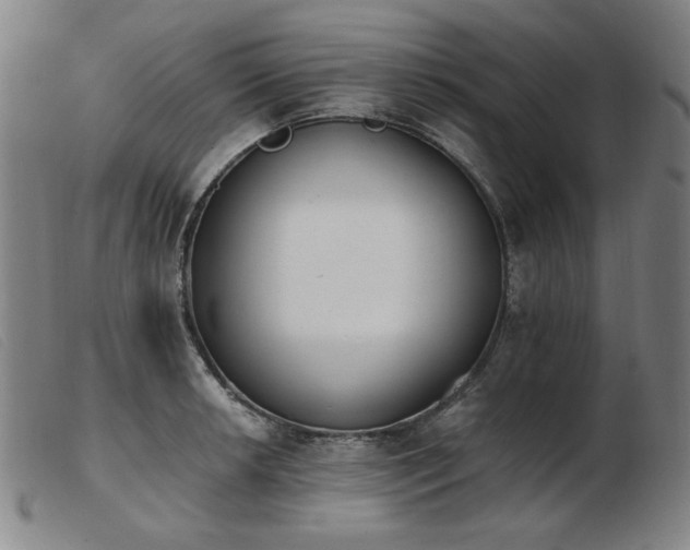 X0000103911042200809191257