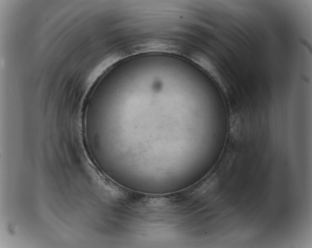 X0000103911043200809191257