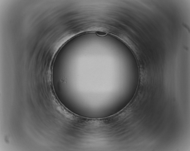 X0000103911044200809191257