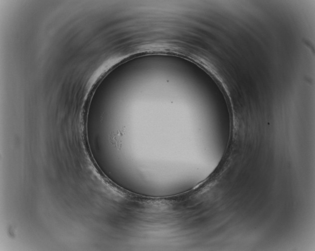 X0000103911045200809191257