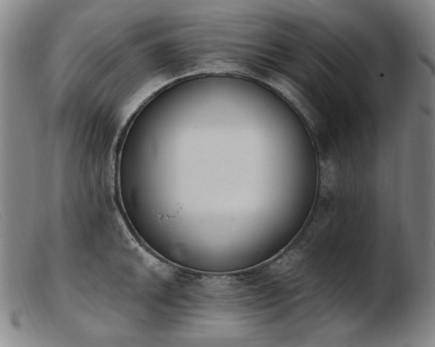 X0000103911046200809191258