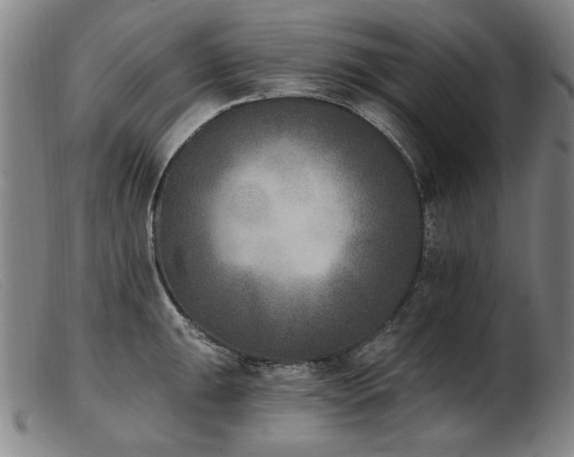 X0000103911047200809191258