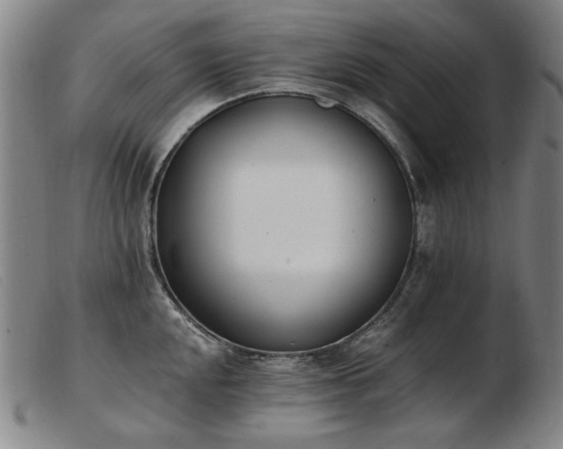 X0000103911048200809191258