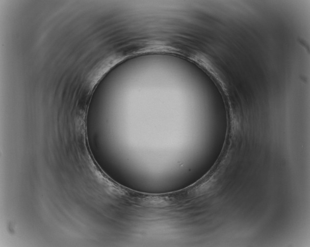X0000103911049200809191258