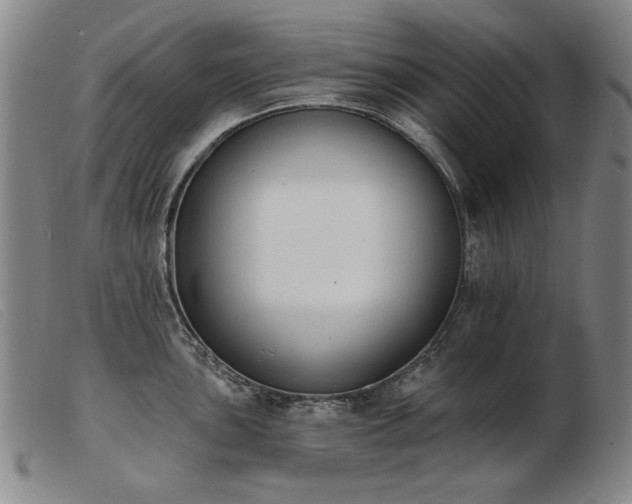 X0000103911051200809191258