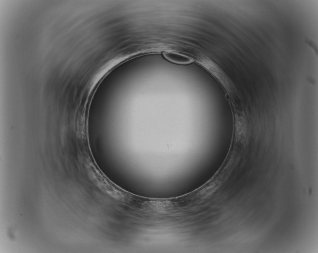 X0000103911052200809191258
