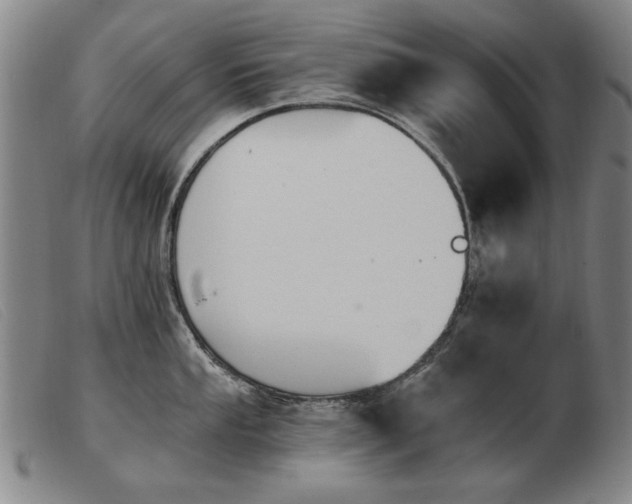 X0000103911053200809191258
