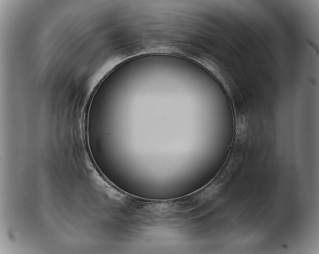 X0000103911054200809191258