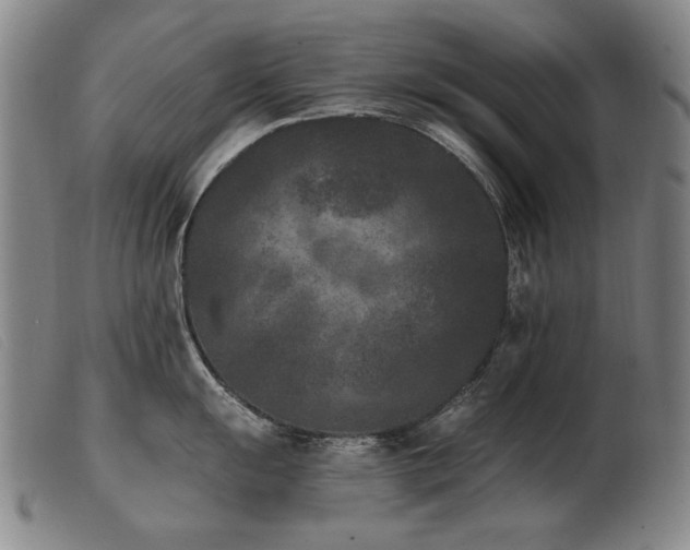 X0000103911055200809191258