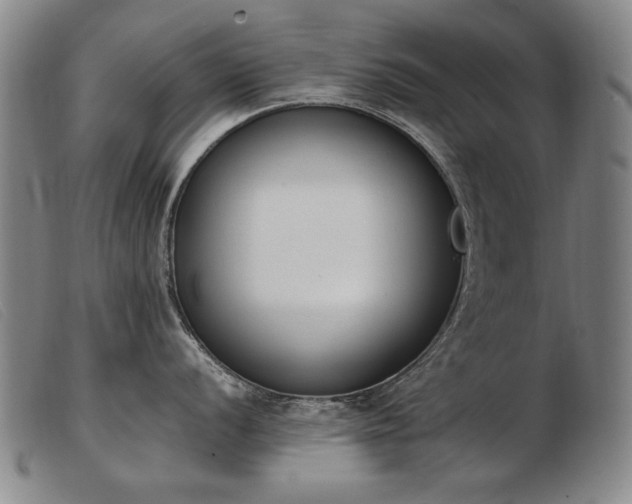 X0000103911056200809191258