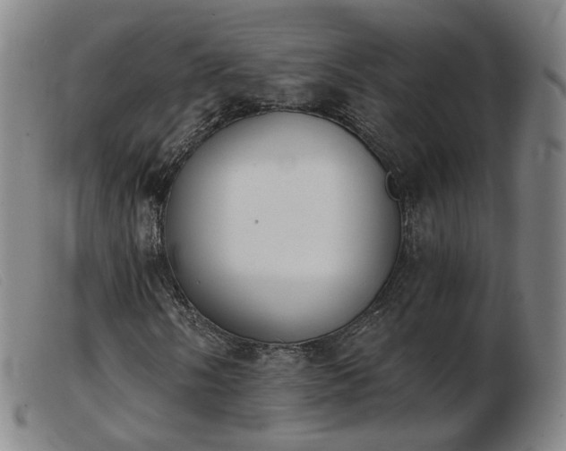 X0000103911058200809191257