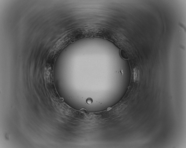 X0000103911059200809191257