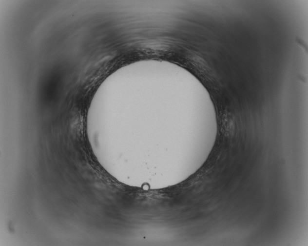 X0000103911061200809191257