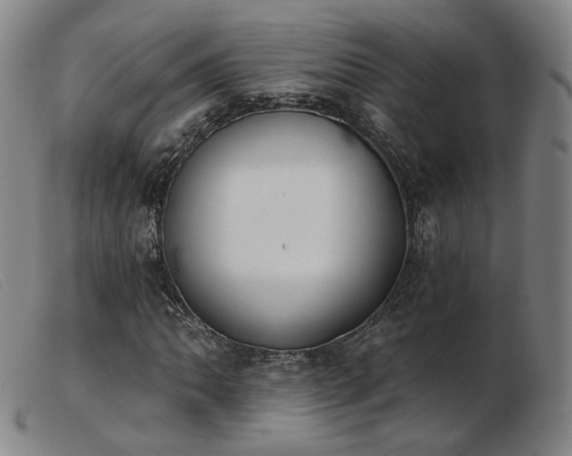 X0000103911062200809191257