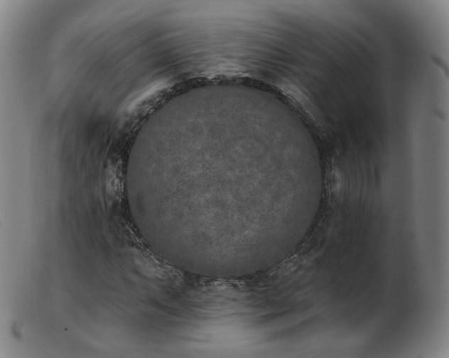 X0000103911063200809191257