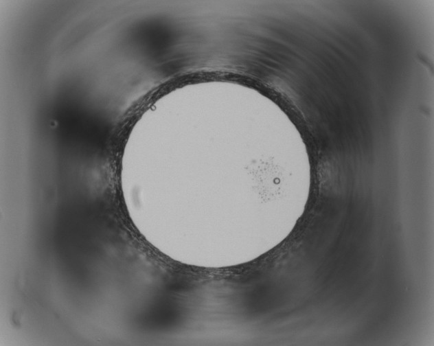 X0000103911064200809191257