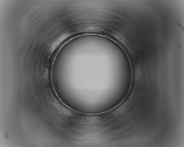 X0000103911066200809191257