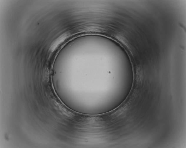 X0000103911067200809191257