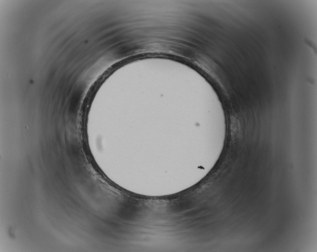 X0000103911068200809191257