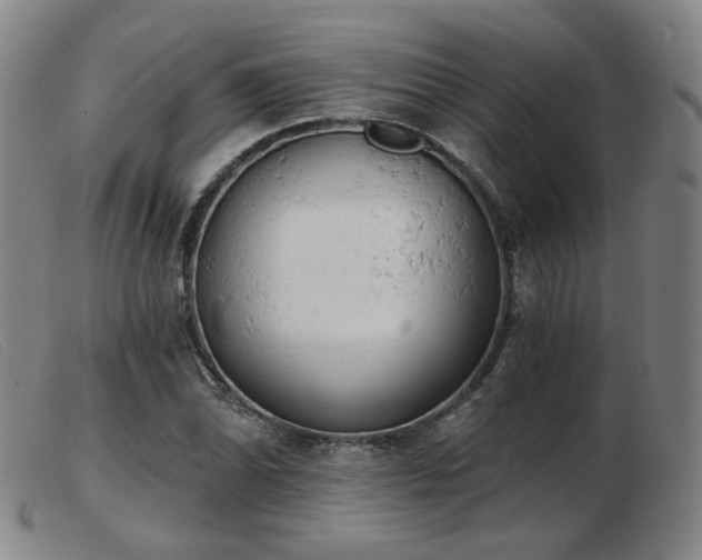 X0000103911070200809191257