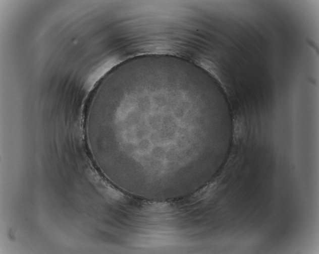 X0000103911071200809191257