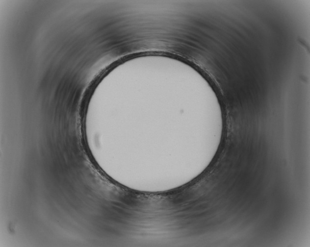 X0000103911072200809191257