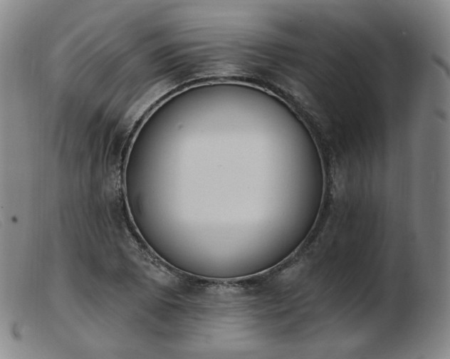 X0000103911073200809191257