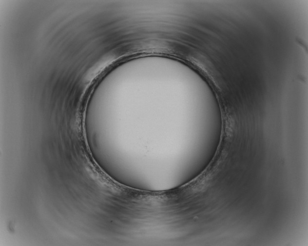 X0000103911074200809191257