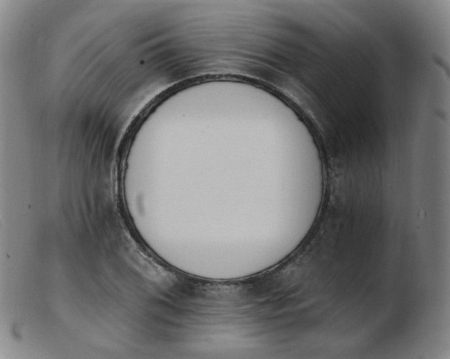 X0000103911076200809191257