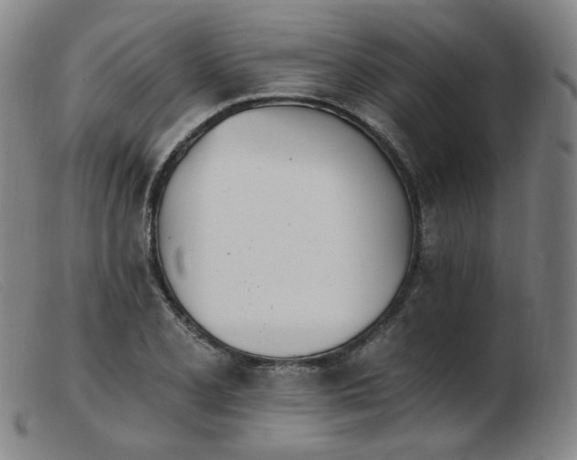 X0000103911077200809191257