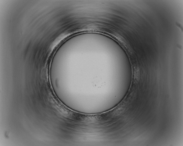 X0000103911078200809191257