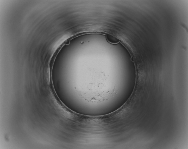 X0000103911079200809191257