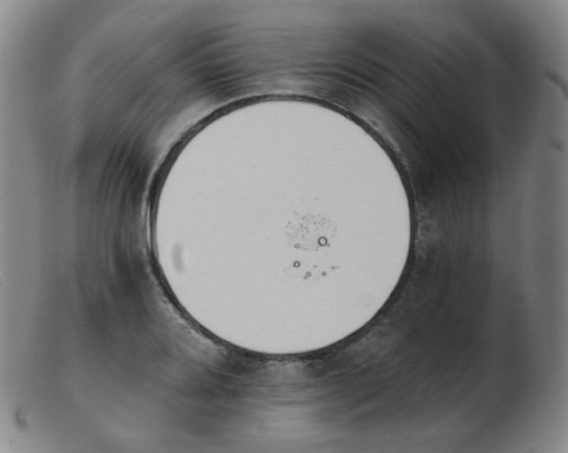 X0000103911080200809191257