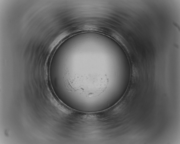 X0000103911082200809191257