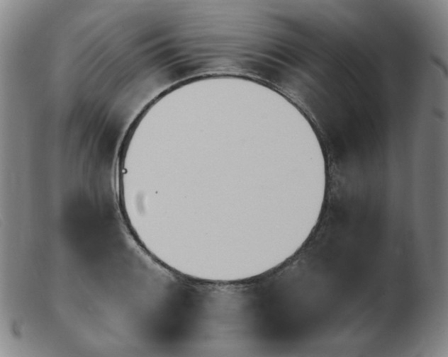 X0000103911084200809191257