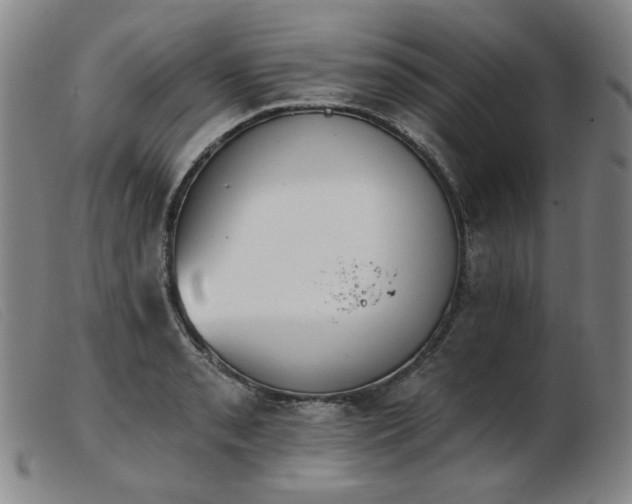 X0000103911085200809191257