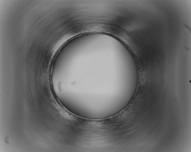 X0000103911086200809191257