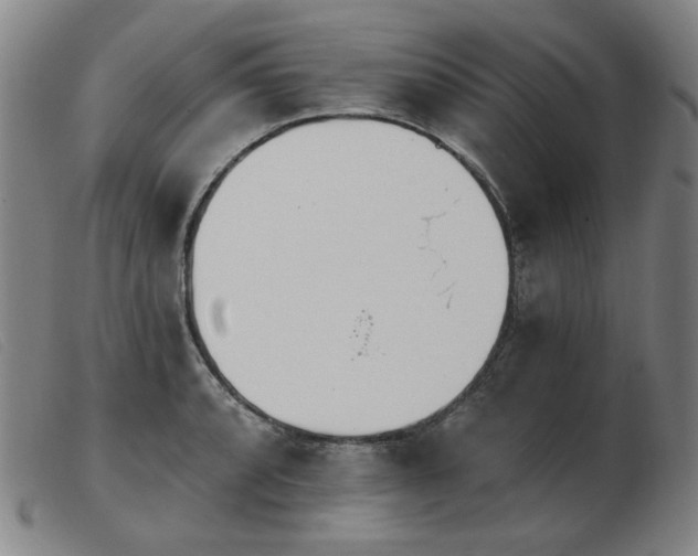 X0000103911088200809191257