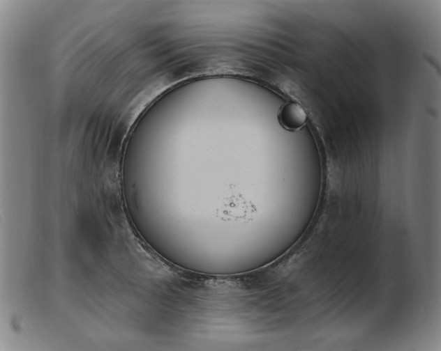 X0000103911089200809191257