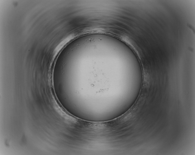 X0000103911090200809191257