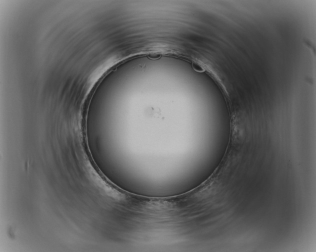 X0000103911091200809191257